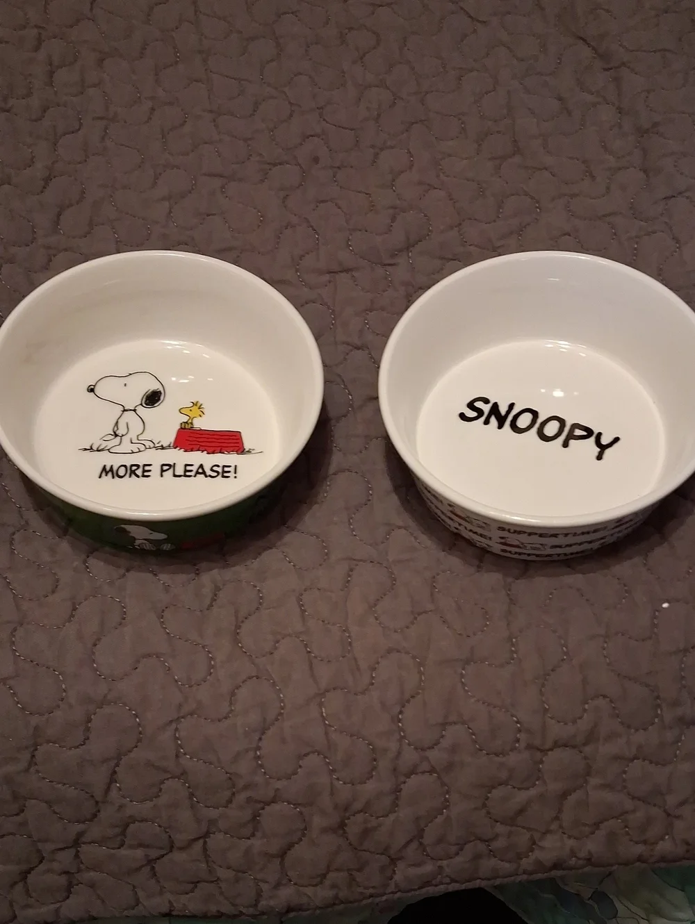 Peanuts Snoopy Ceramic Pet Bowls - White with Green and Red Accents Set Of 2
